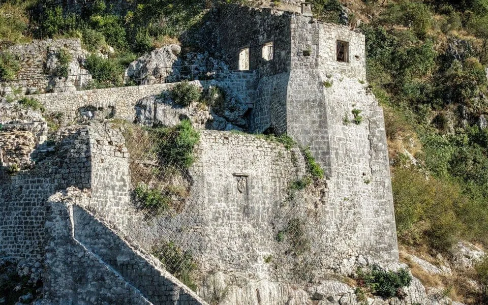 Construction of the Saint Francis Position